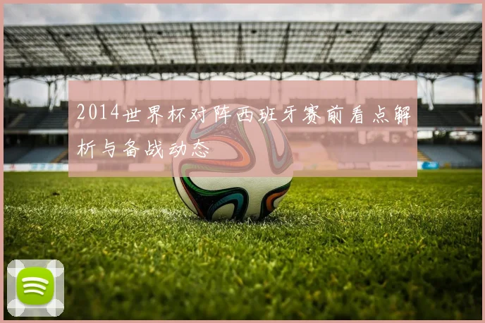 2014世界杯对阵西班牙赛前看点解析与备战动态