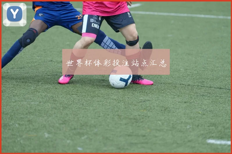 世界杯体彩投注站点汇总