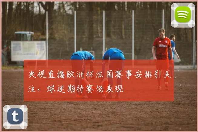 央视直播欧洲杯法国赛事安排引关注,球迷期待赛场表现